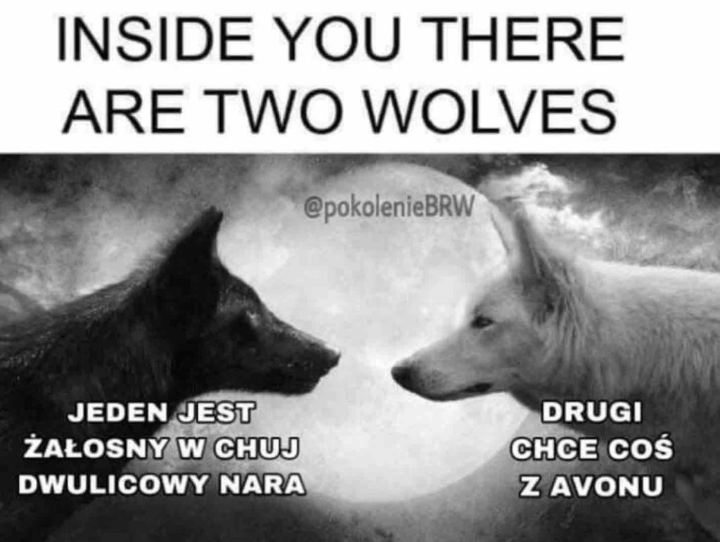 W każdym z nas są dwa wilki mem