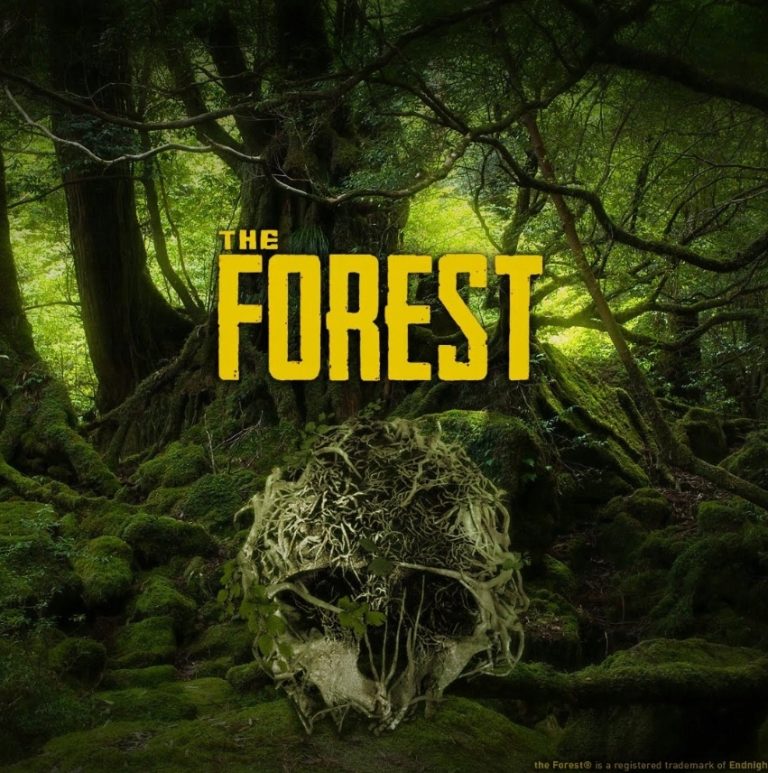 The Forest